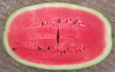 223117104.png 庆发黑霸王1.png